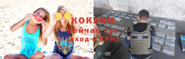 спайс Кулебаки